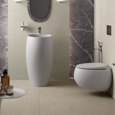 RAK Ceramics 750050MW Wall-Hung Toilet Suite