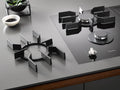 Miele CS 7102-1 FL SmartLine Element with Two Gas Burners