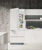Liebherr ECBN 5066 integrated kitchen cabinetry detail