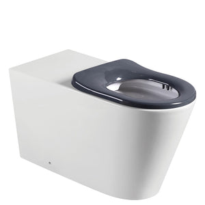 Fienza K016G Isabella Care Grey Seat Wall-Faced Toilet Suite