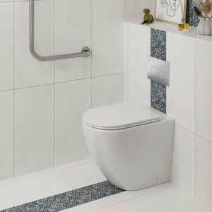 Fienza K025-2 Alix Slim Seat Ambulant Wall-Faced Toilet Suite
