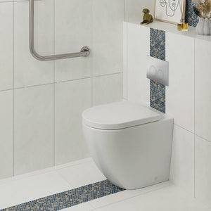 Fienza K025 Alix Ambulant Wall-Faced Toilet Suite