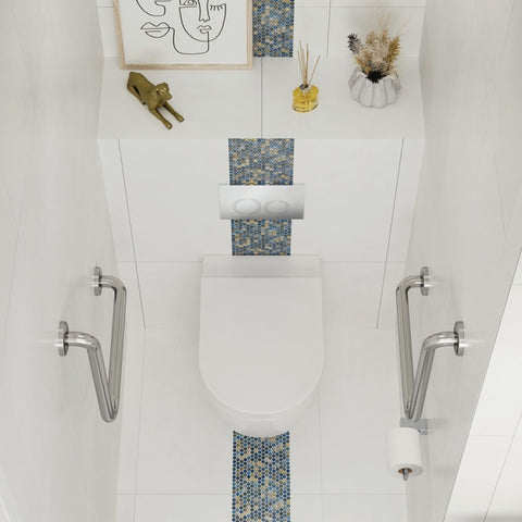 Fienza K025 Alix Ambulant Wall-Faced Toilet Suite