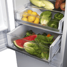 Artusi AINT3000 54cm integrated bottom mount refrigerator freezer - product image 2