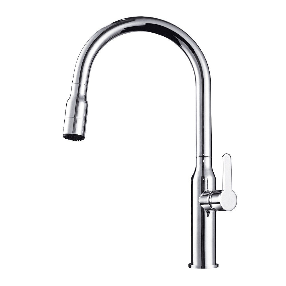 Arcisan AR01253 Kitchen Sink Mixer with 2 Jet Nozzle