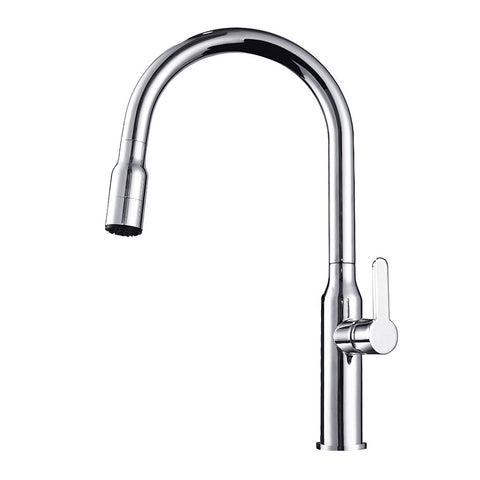 Arcisan AR01253 Kitchen Sink Mixer with 2 Jet Nozzle