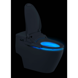 Luelue DIB C430 Smart Electric Bidet Toilet Seat